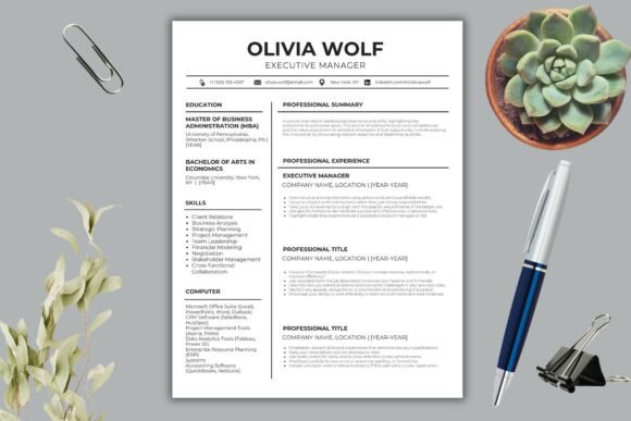 Download Professional Resume Canva Templates - Templates Collection