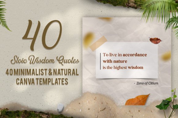 Download 40 Minimalist &amp; Natural Canva Templates - Templates Collection